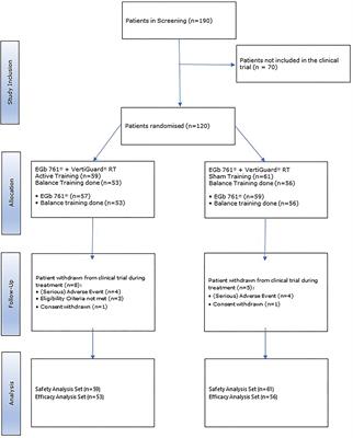 Balance Training With Vibrotactile Neurofeedback and Ginkgo Biloba Extract in Age-Related Vertigo